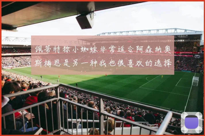 佩蒂特称小蜘蛛非常适合阿森纳奥斯梅恩是另一种我也很喜欢的选择