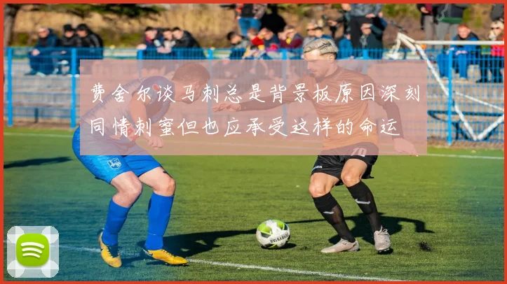 费舍尔谈马刺总是背景板原因深刻同情刺蜜但也应承受这样的命运