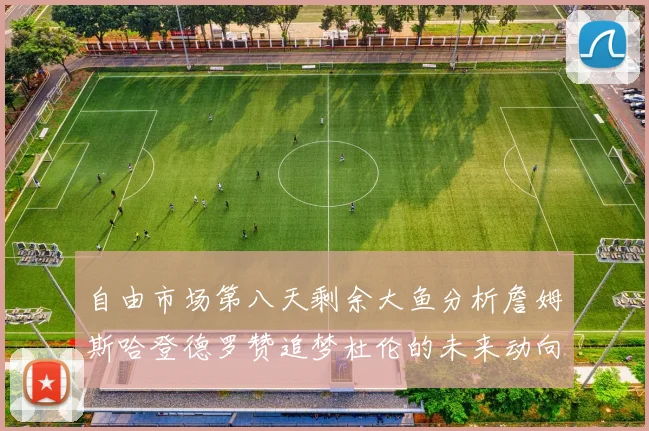 自由市场第八天剩余大鱼分析詹姆斯哈登德罗赞追梦杜伦的未来动向